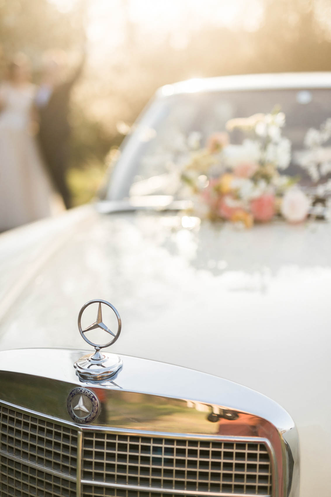 Mercedesstern als Detail eines Hochzeitsautos bei Hochzeit auf Hof Frien
